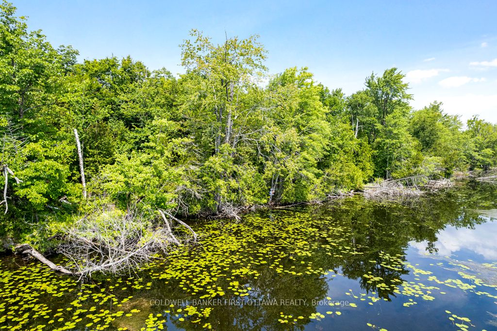000 Graceys Island N/a Property Photo 10