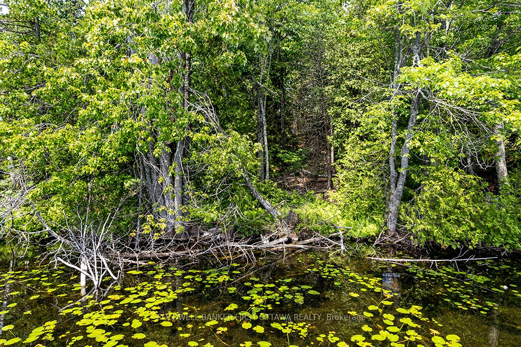 000 Graceys Island N/a Property Photo 11