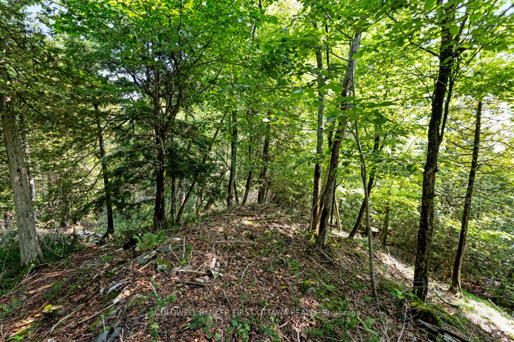 000 Graceys Island N/a Property Photo 12