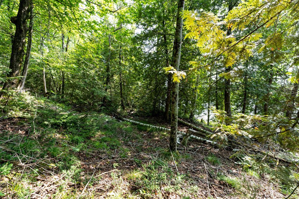000 Graceys Island N/a Property Photo 16