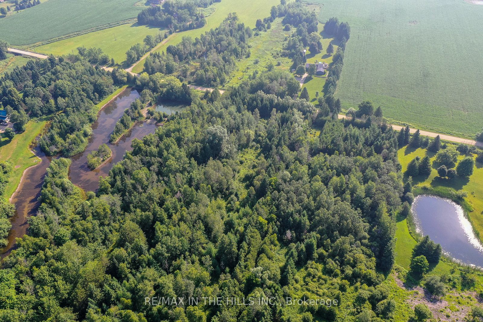 333130 7th Line Property Photo 6