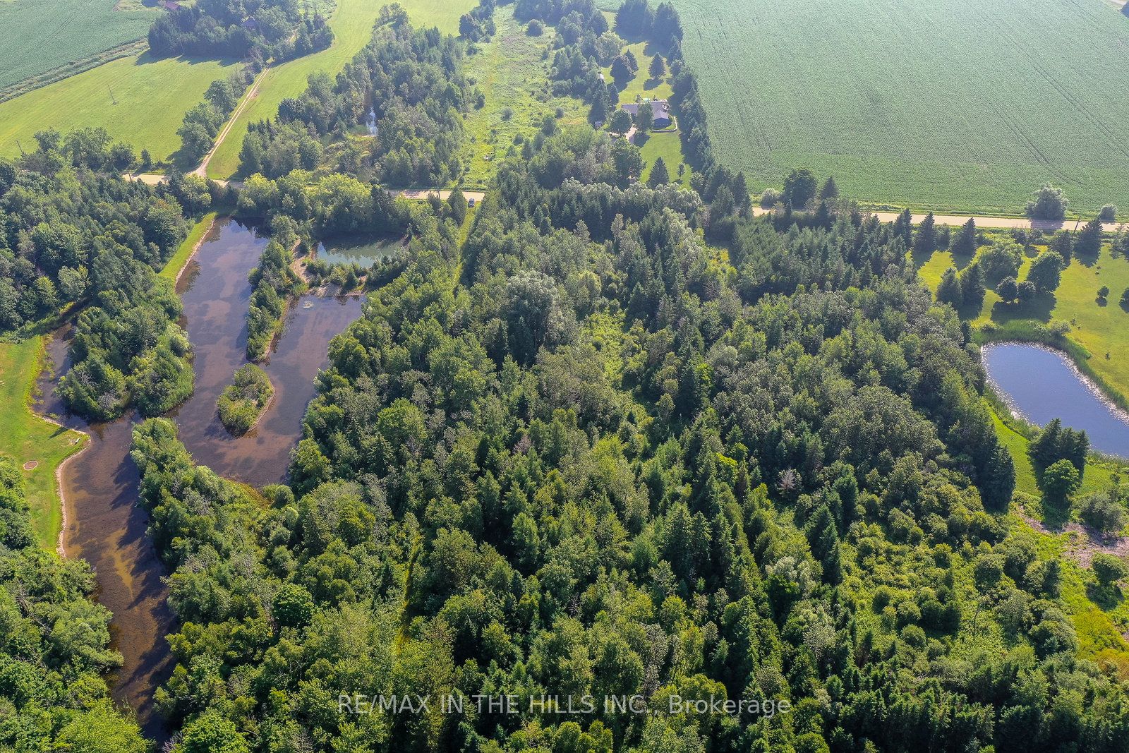 333130 7th Line Property Photo 7
