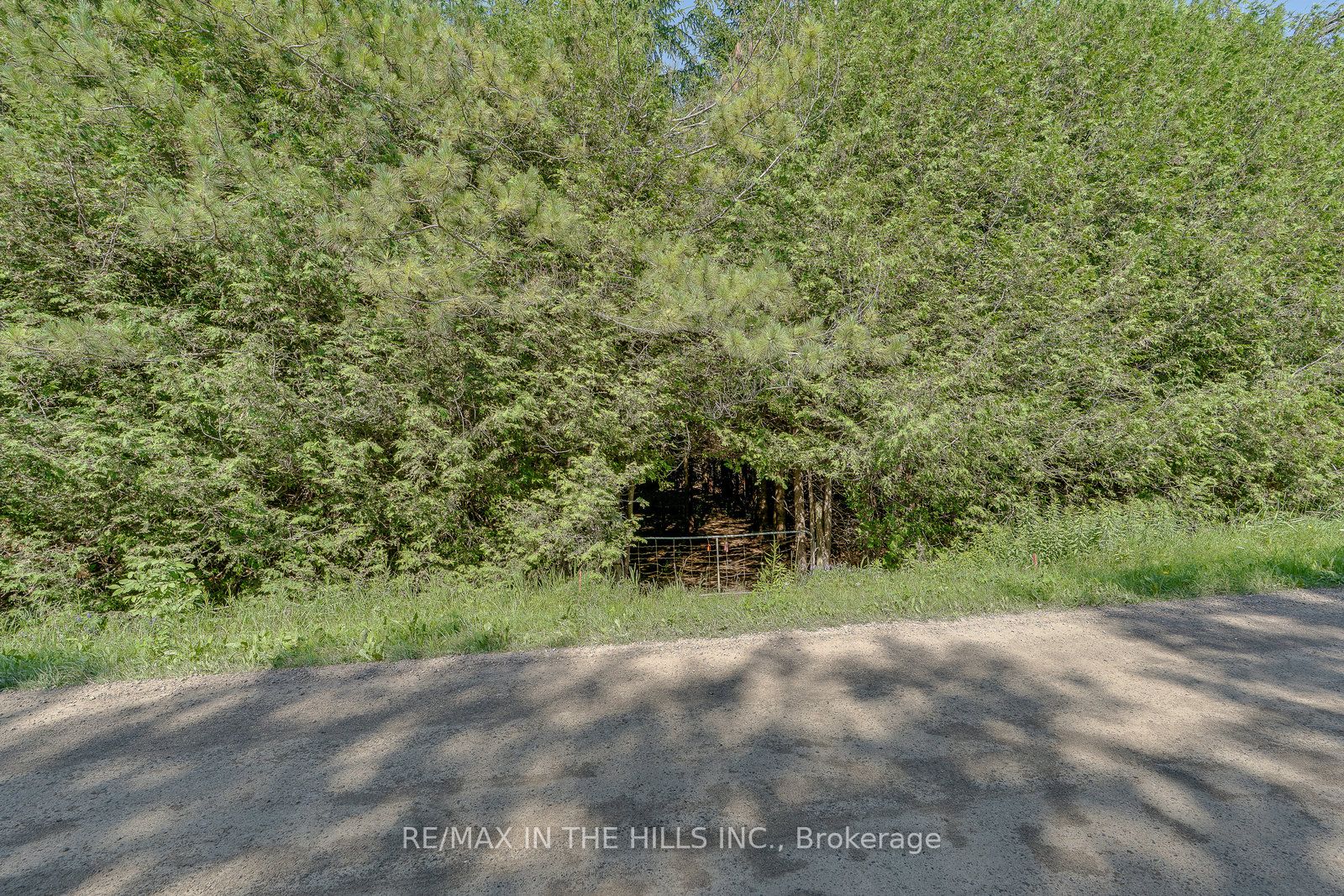 333130 7th Line Property Photo 10