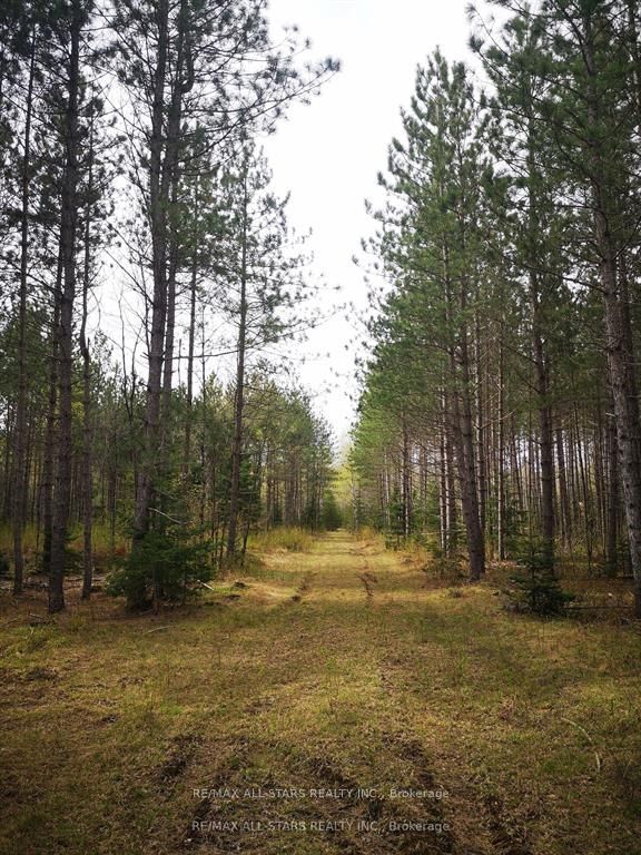 0 Penzance Trail Property Photo 3