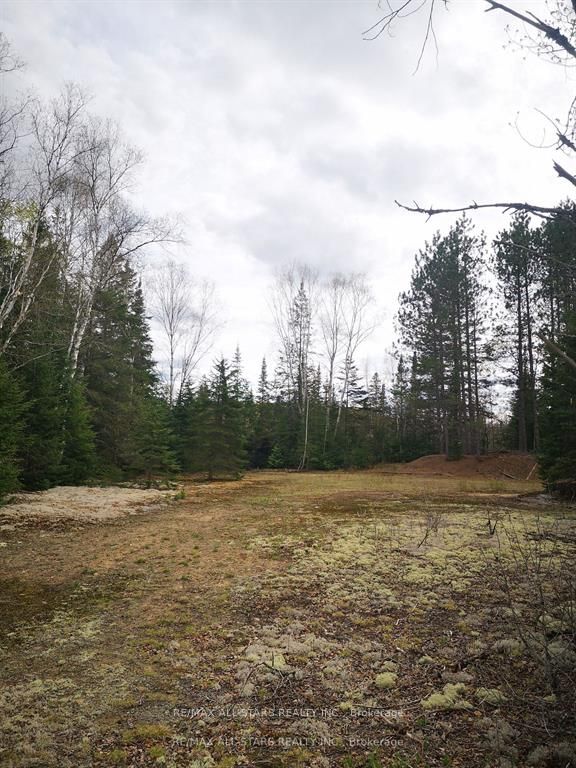 0 Penzance Trail Property Photo 4