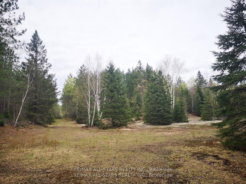 0 Penzance Trail Property Photo 5