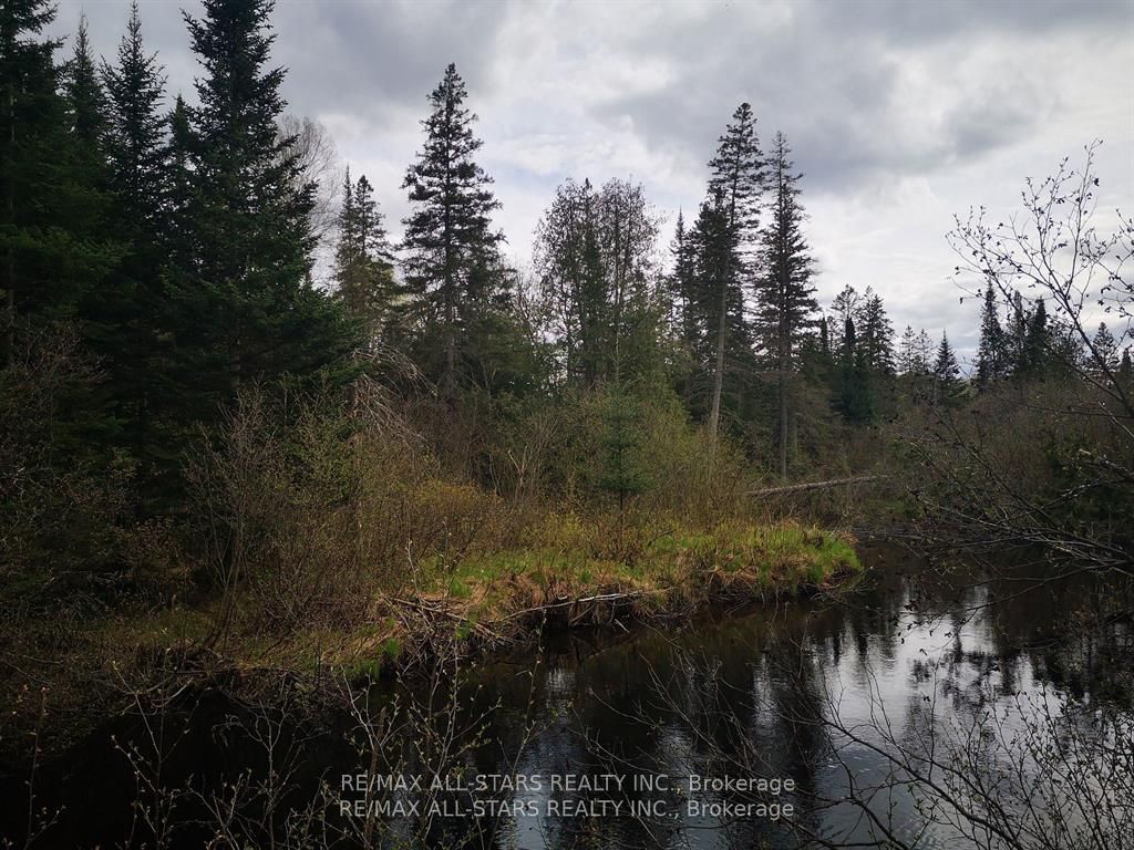 0 Penzance Trail Property Photo 7