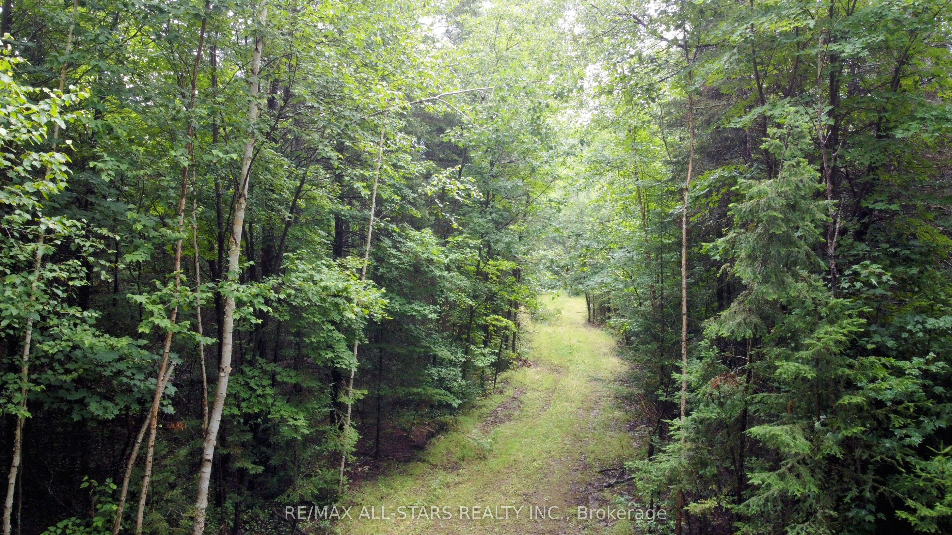 0 Penzance Trail Property Photo 10