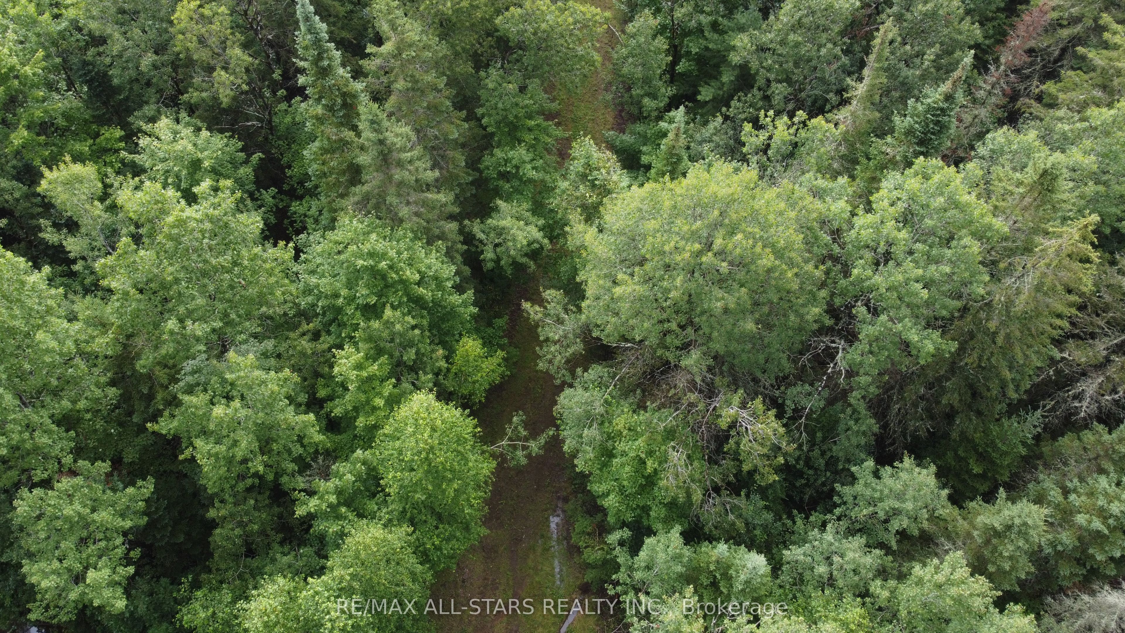 0 Penzance Trail Property Photo 11