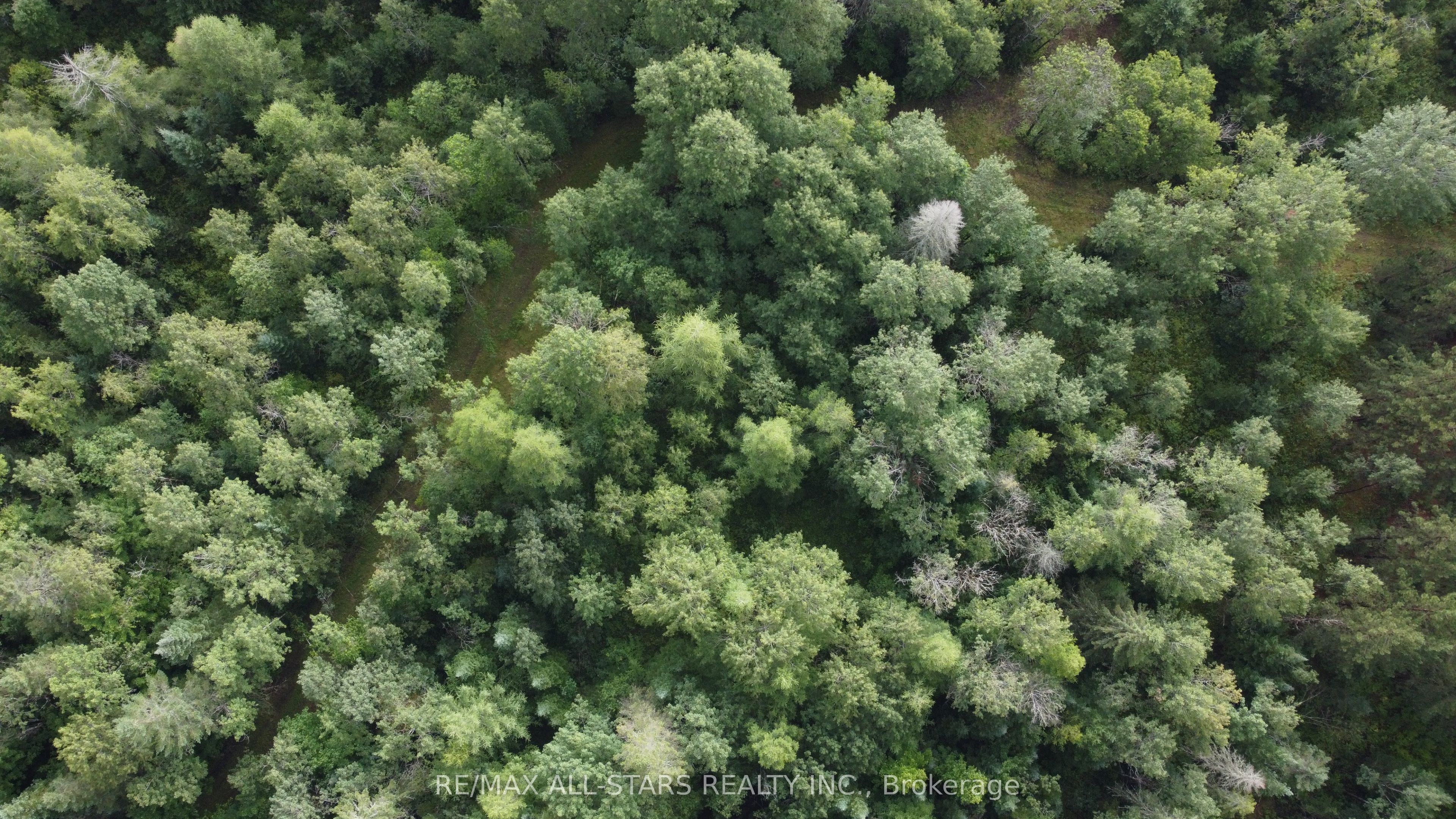 0 Penzance Trail Property Photo 12