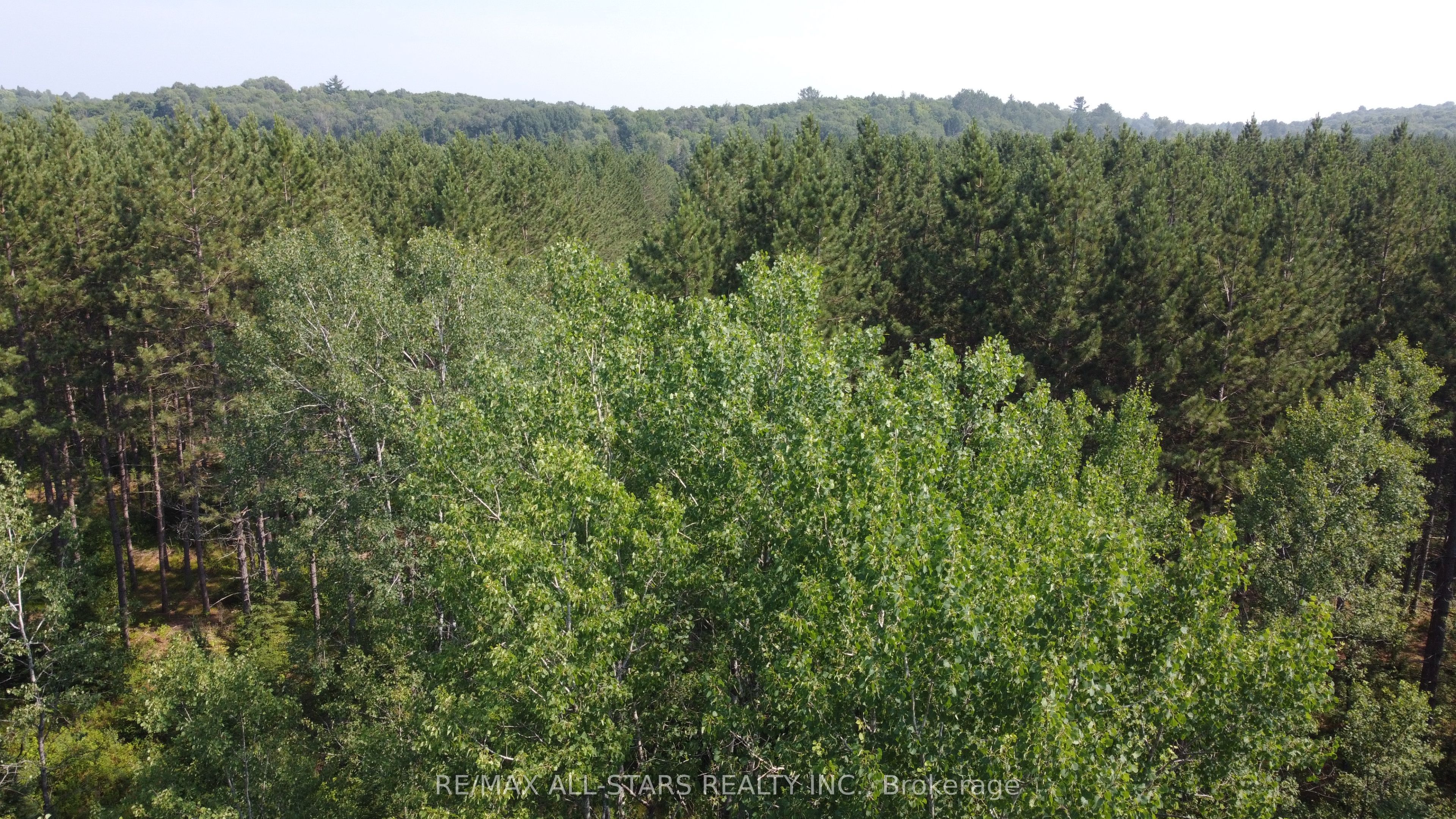 0 Penzance Trail Property Photo 15