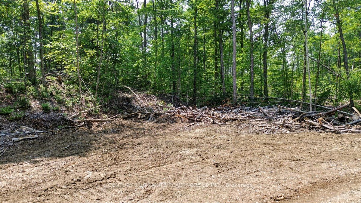 0 Airport Road Property Photo 17
