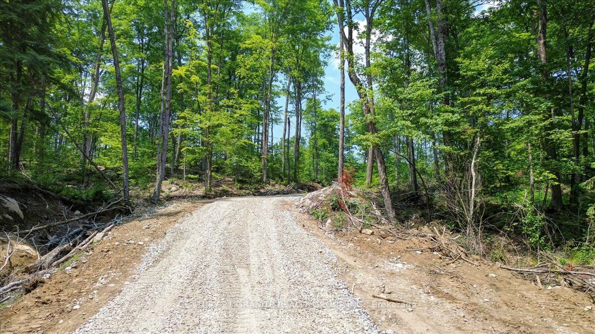 0 Airport Road Property Photo 18