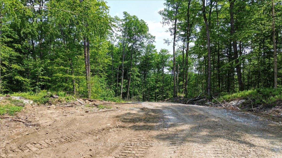 0 Airport Road Property Photo 19