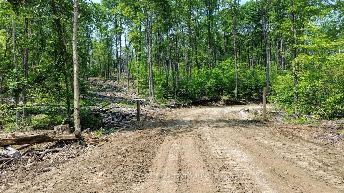 0 Airport Road Property Photo 20