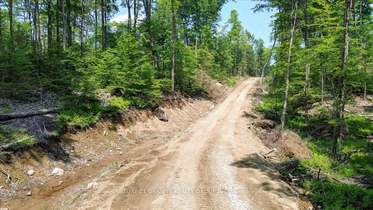 0 Airport Road Property Photo 24
