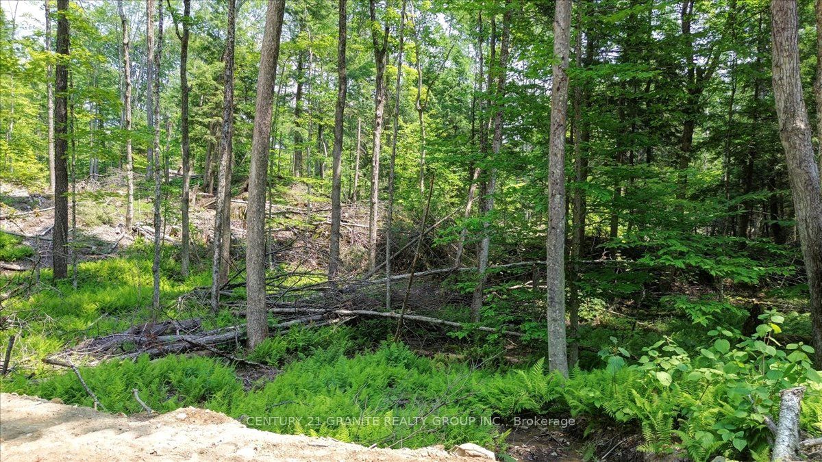 0 Airport Road Property Photo 25