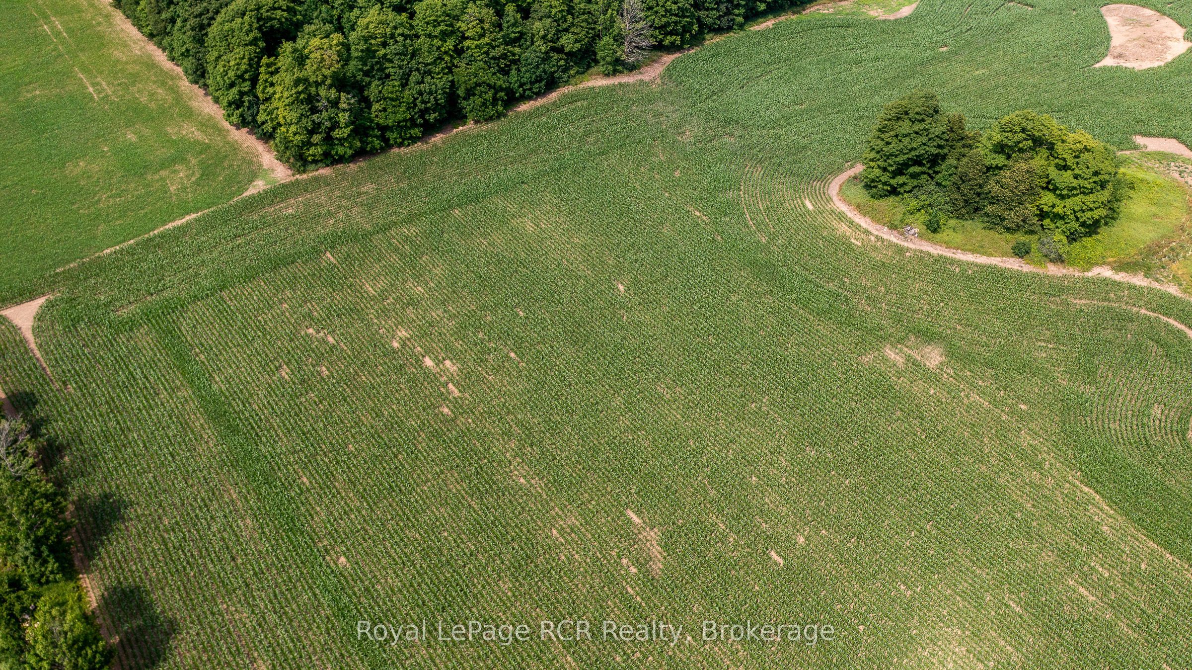 Pt Lt 11 Grey Rd 18 N/a Property Photo 6
