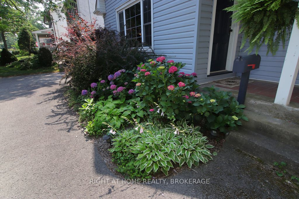 368 Queenston Street Property Photo 4