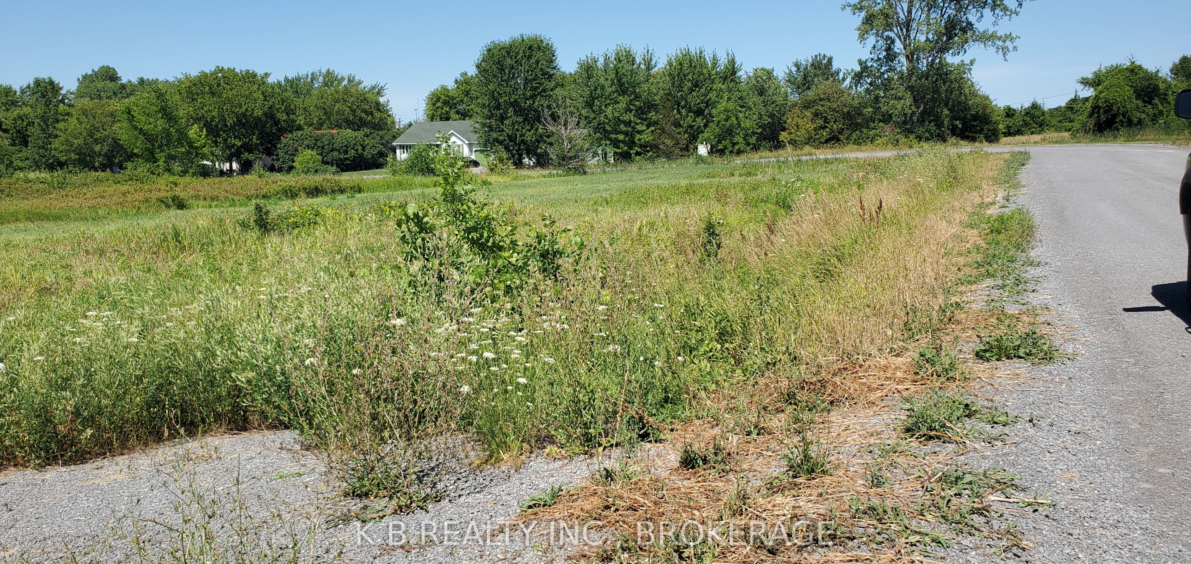 31 Dorland Drive Property Photo 2