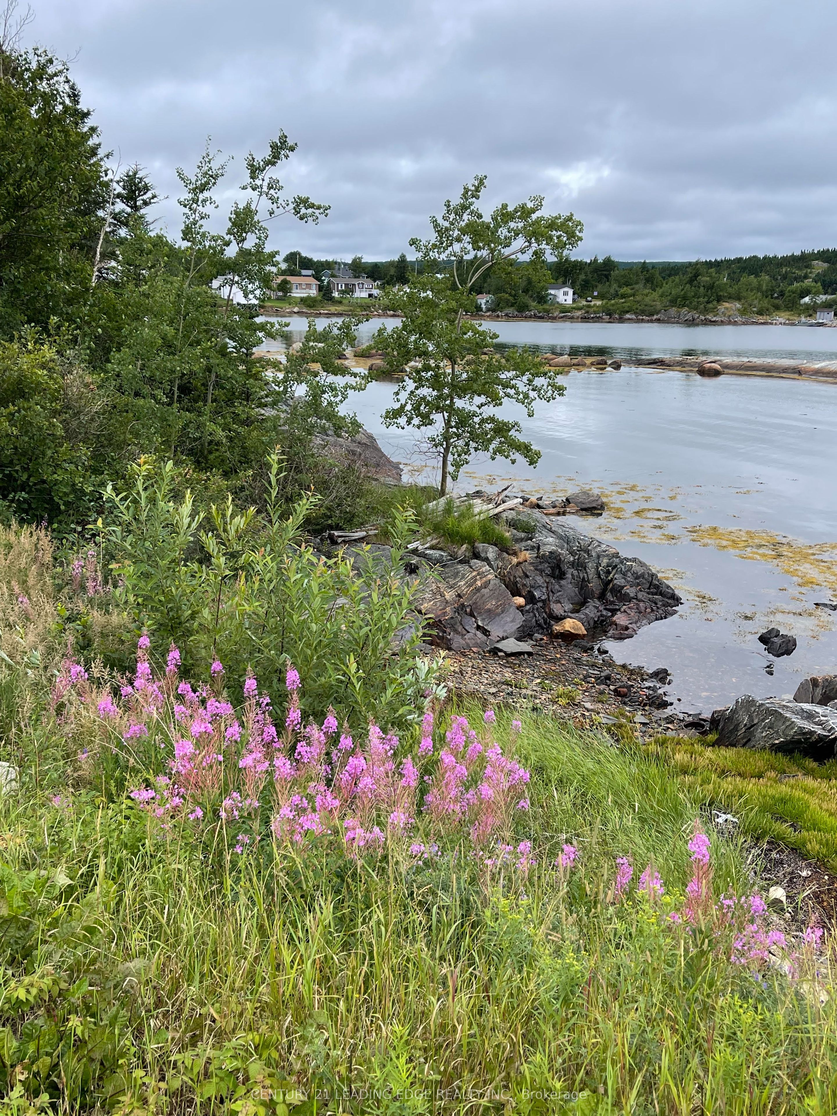 26 Main Road Property Photo 31