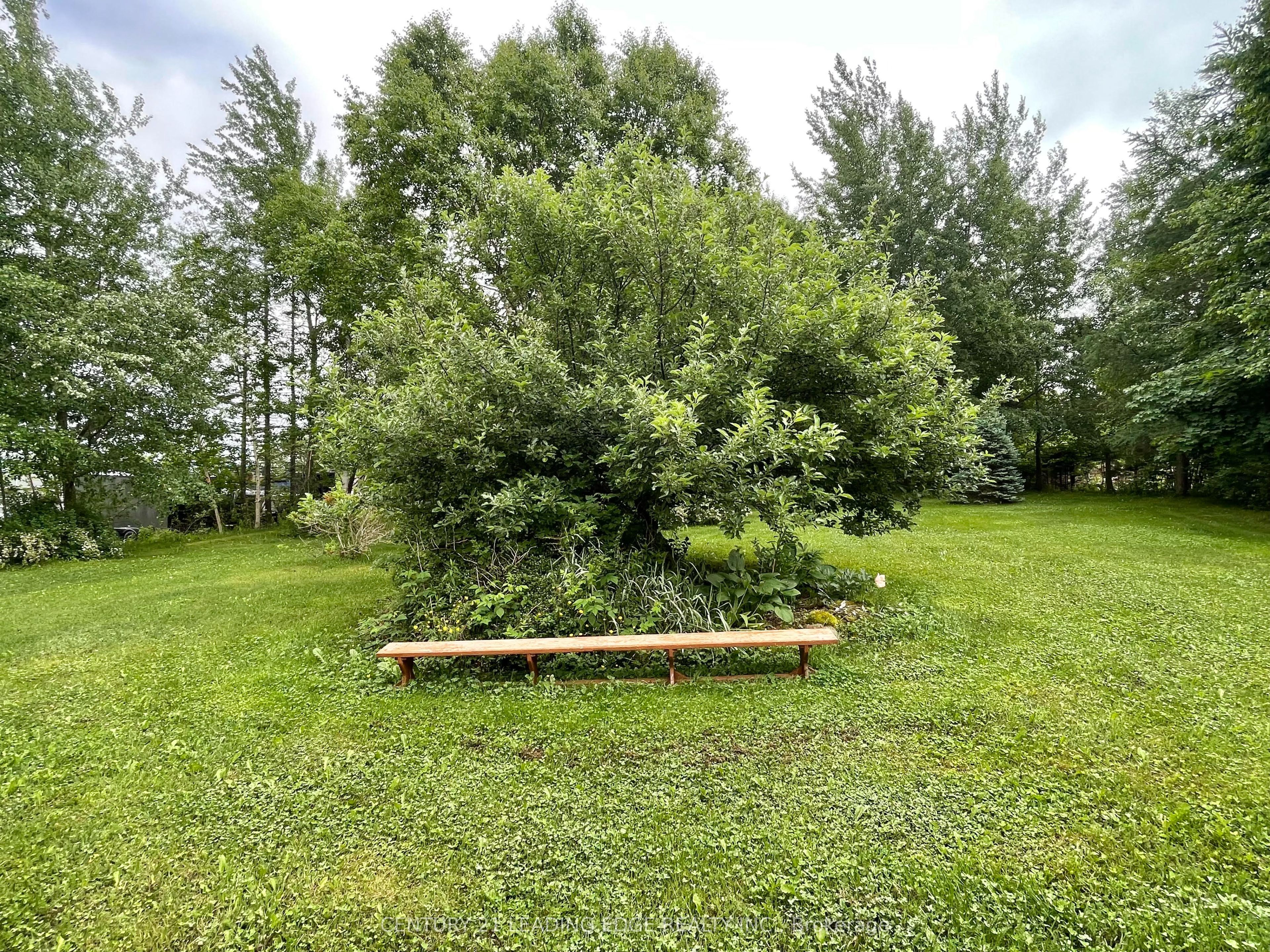 26 Main Road Property Photo 34