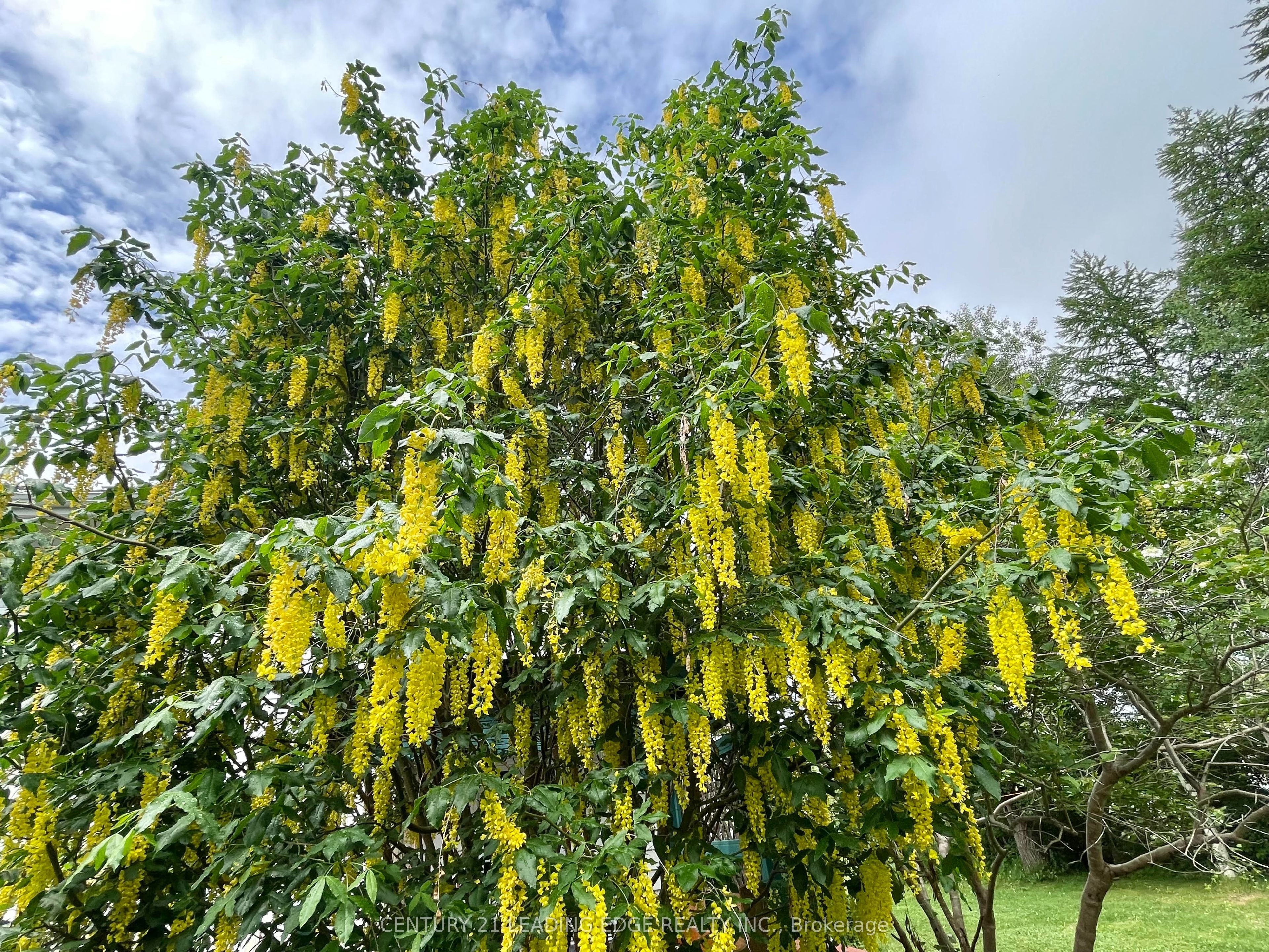 26 Main Road Property Photo 36