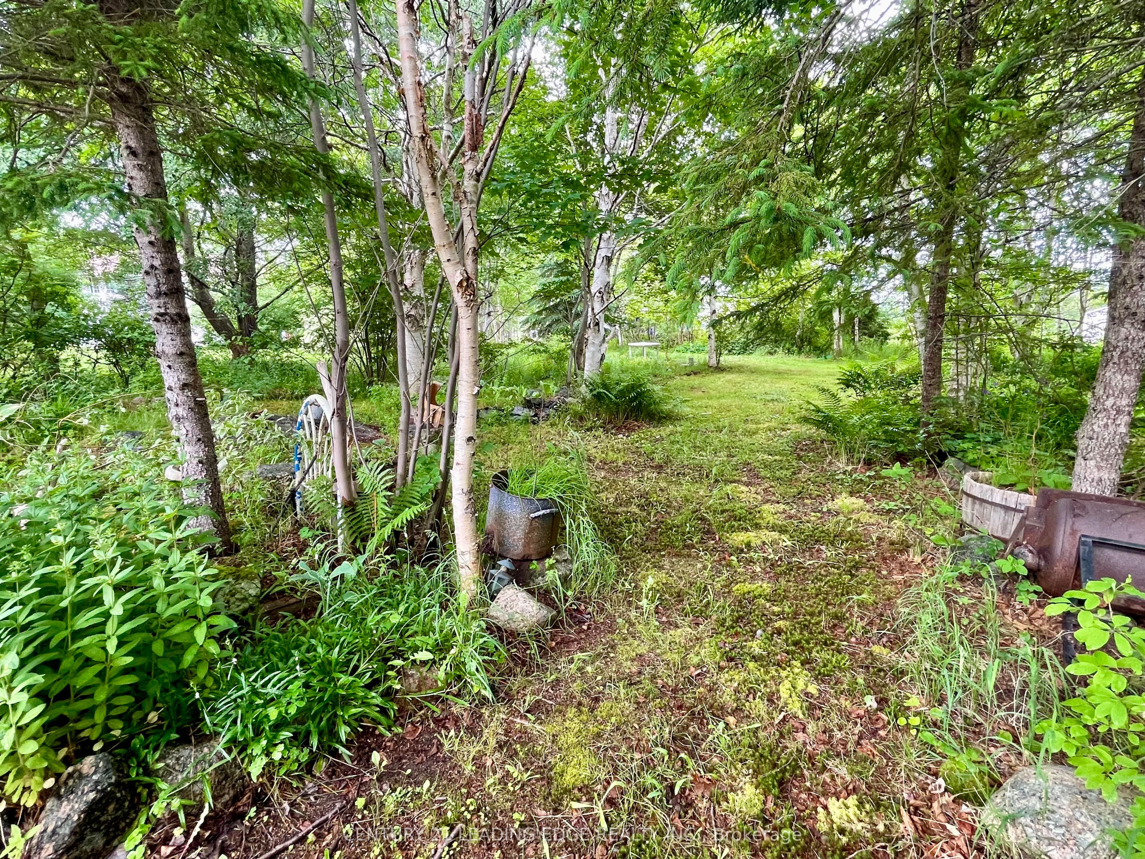 26 Main Road Property Photo 37