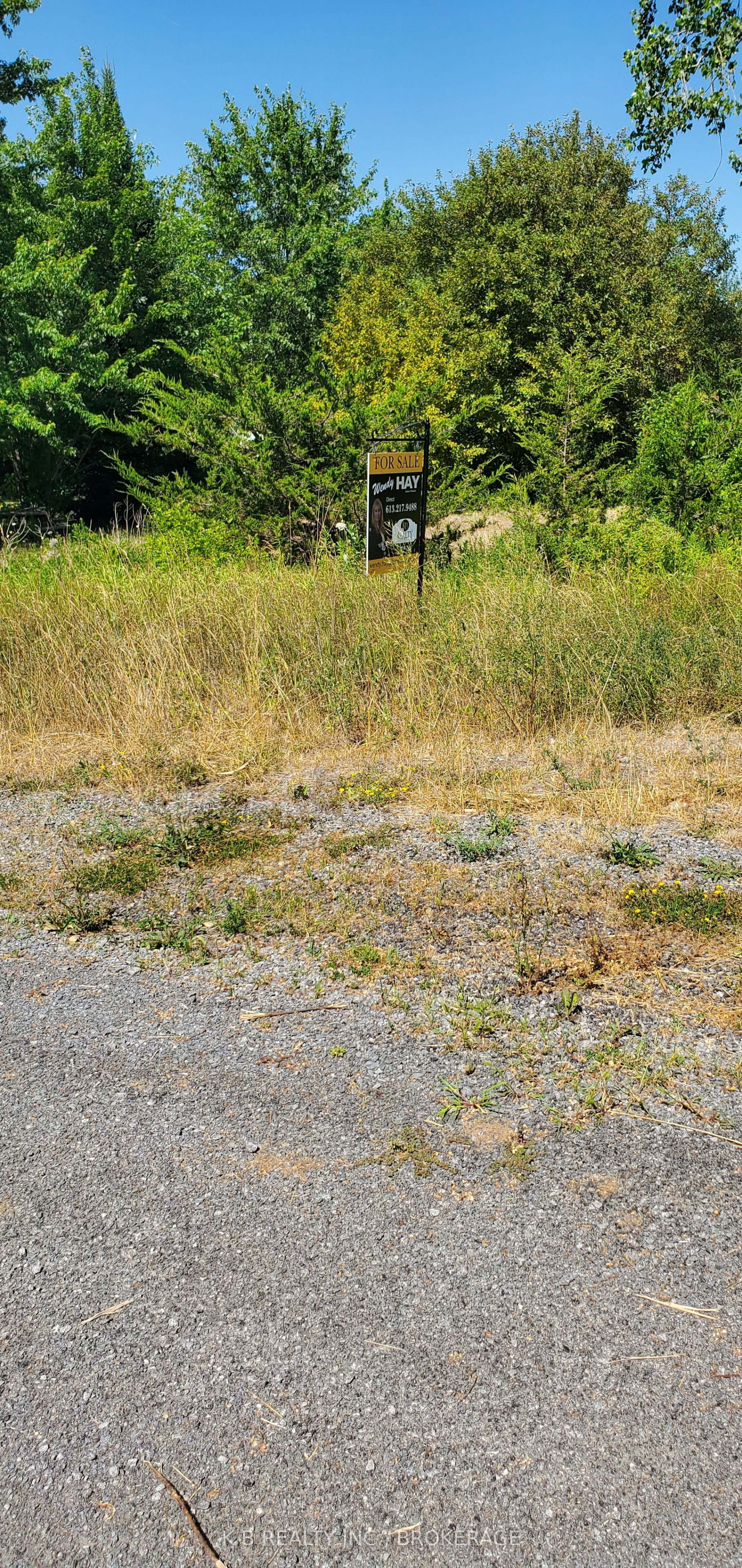 66 Dorland Drive Property Photo 2