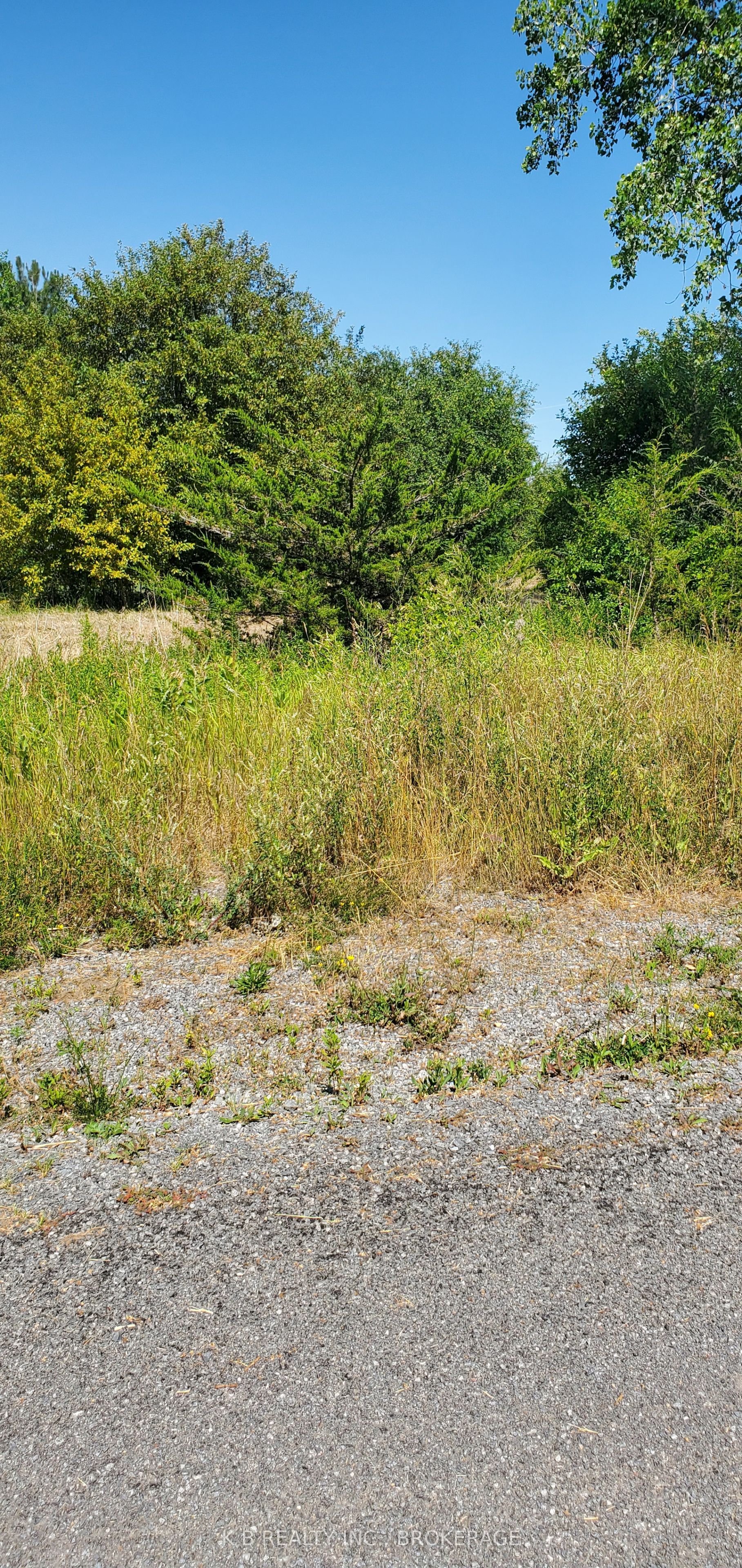 66 Dorland Drive Property Photo 3