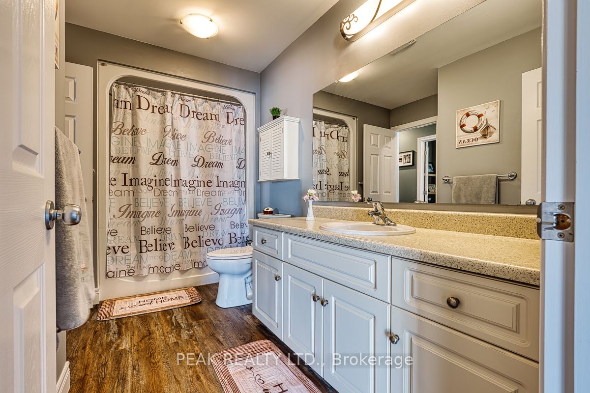 22 College Street Property Photo 24