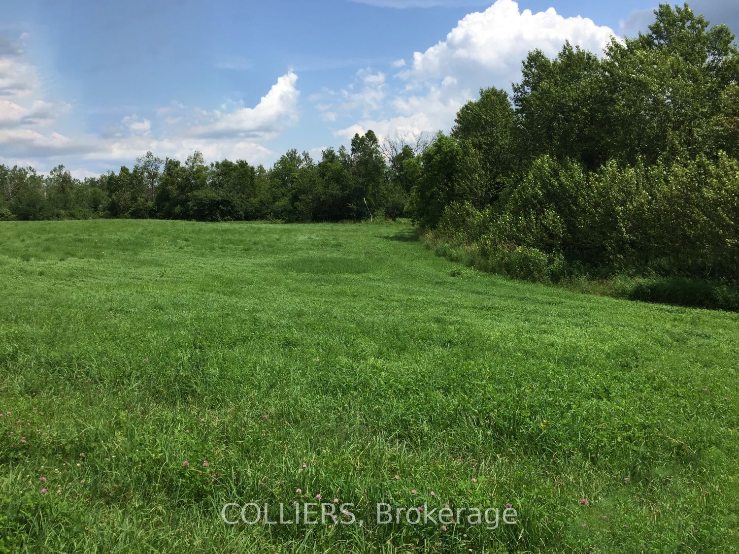 385477 20th Sideroad Property Photo 1