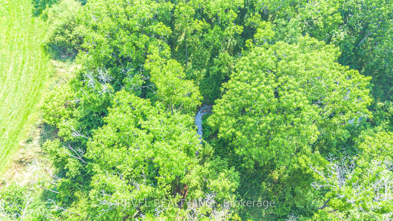 Pt Lt 15 Con 3 Norfolk County Road 19 N/a Property Photo 8