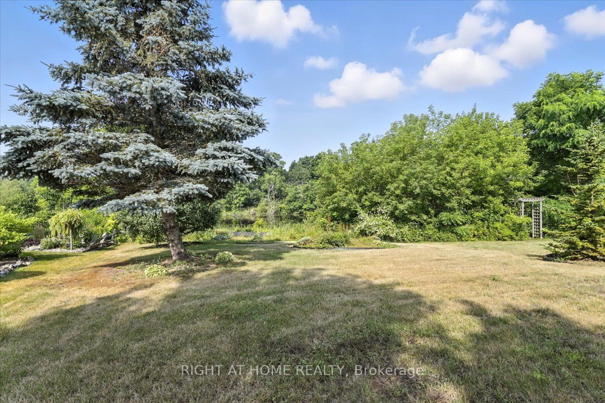 47 Logie Street Property Photo 29