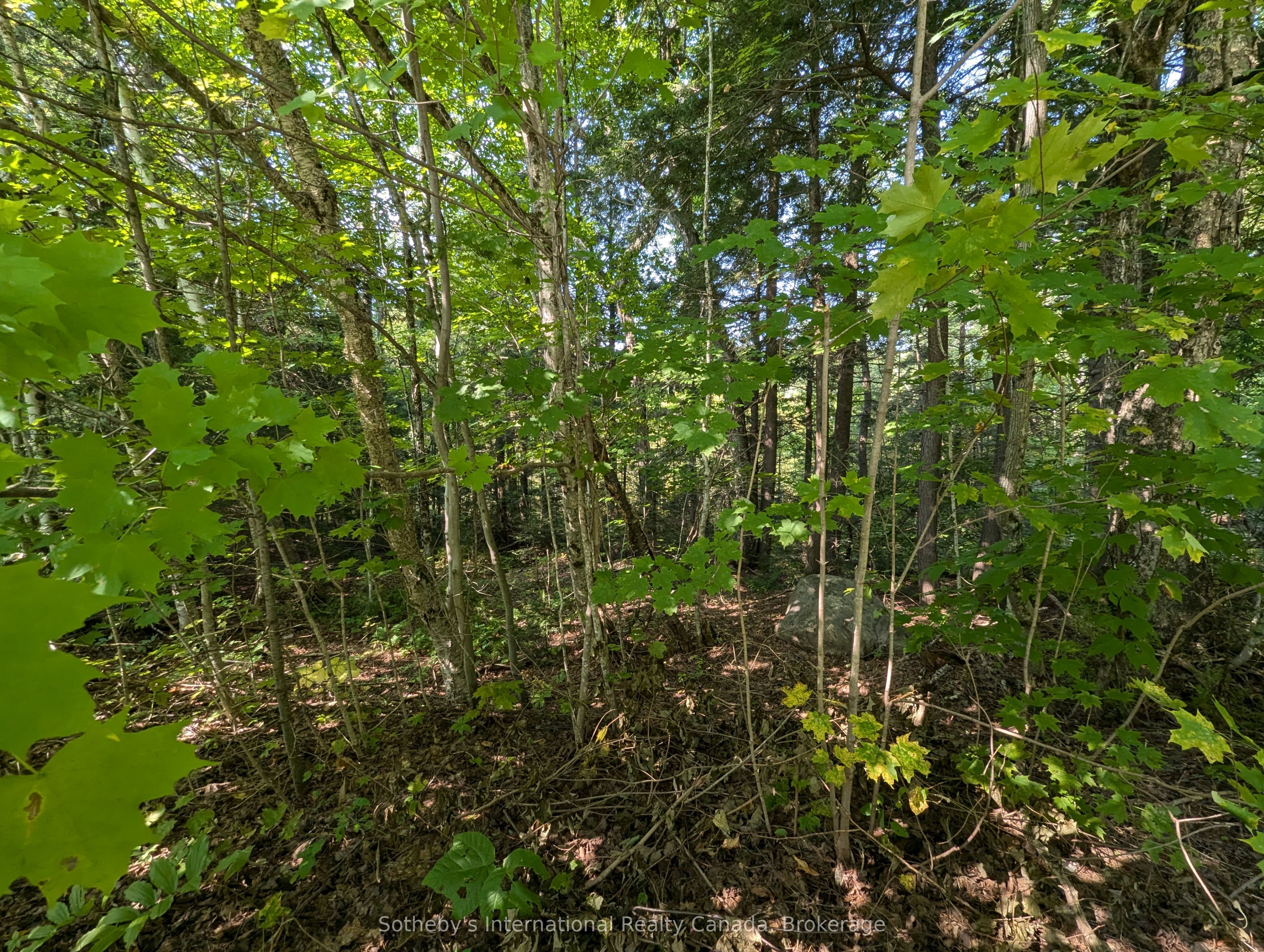 1031 Haven Road Property Photo 2