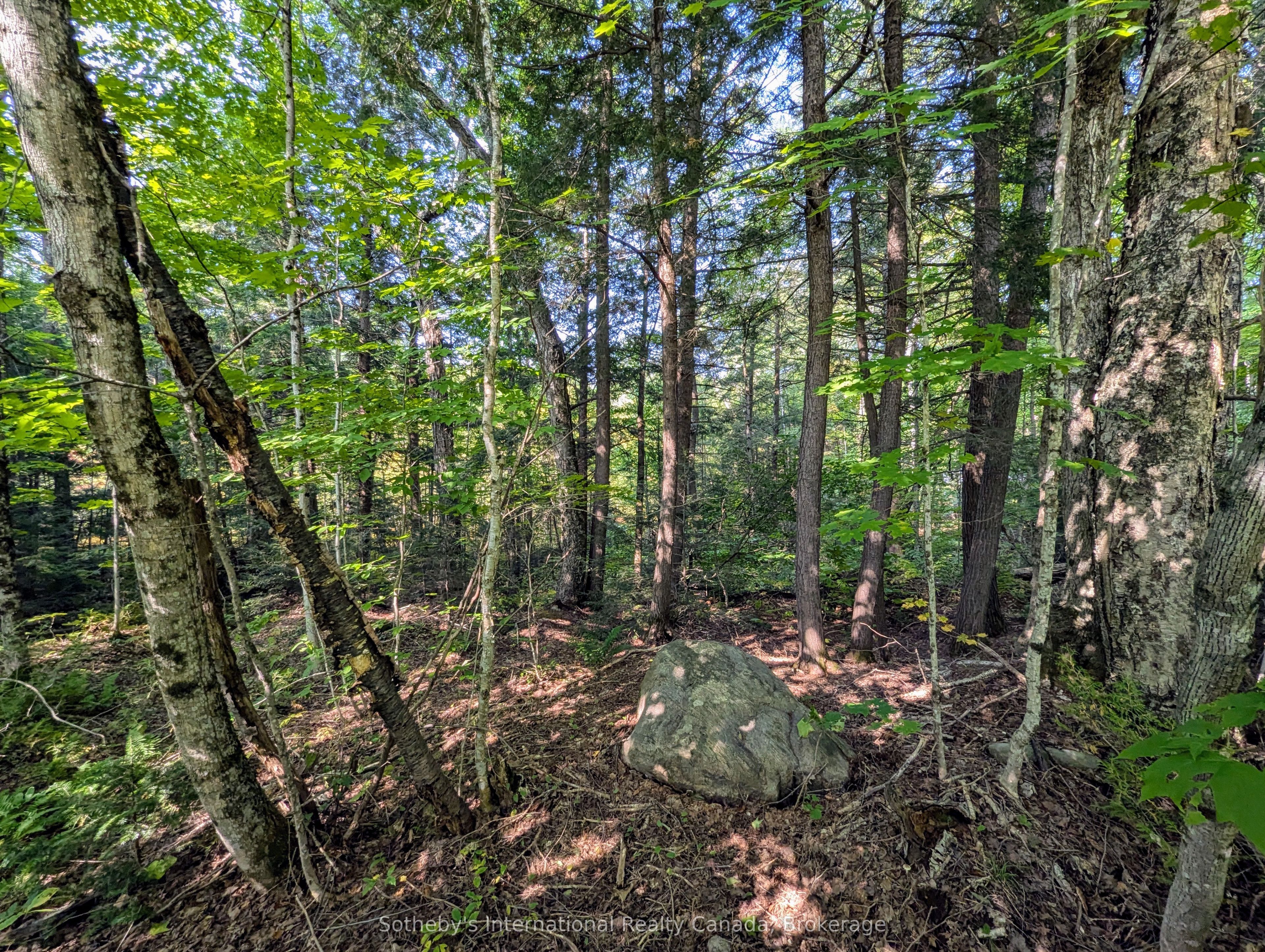 1031 Haven Road Property Photo 3