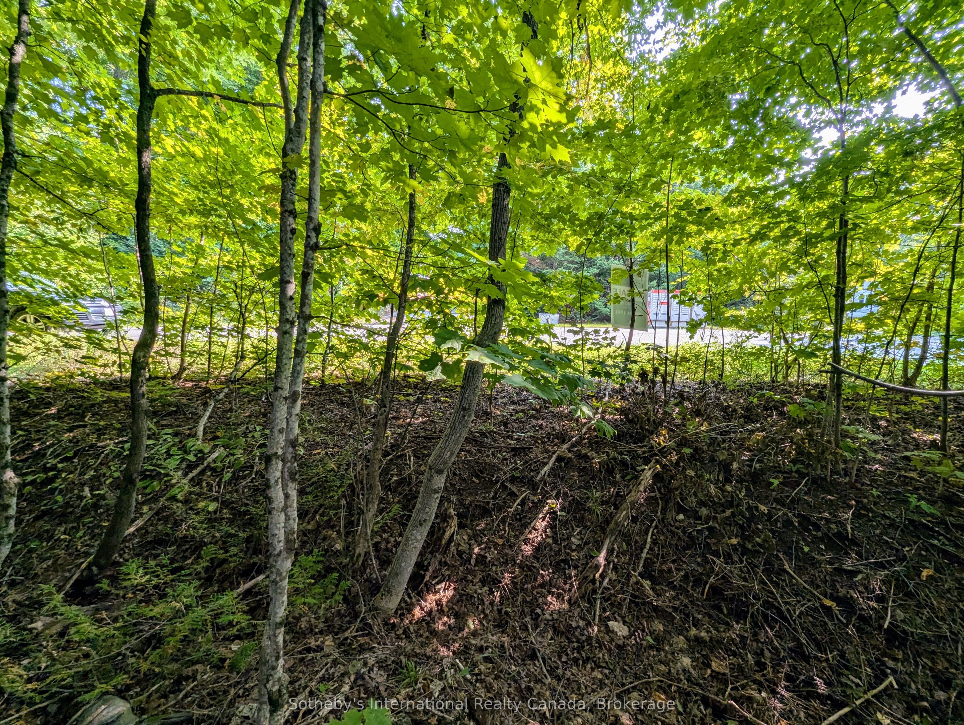 1031 Haven Road Property Photo 5