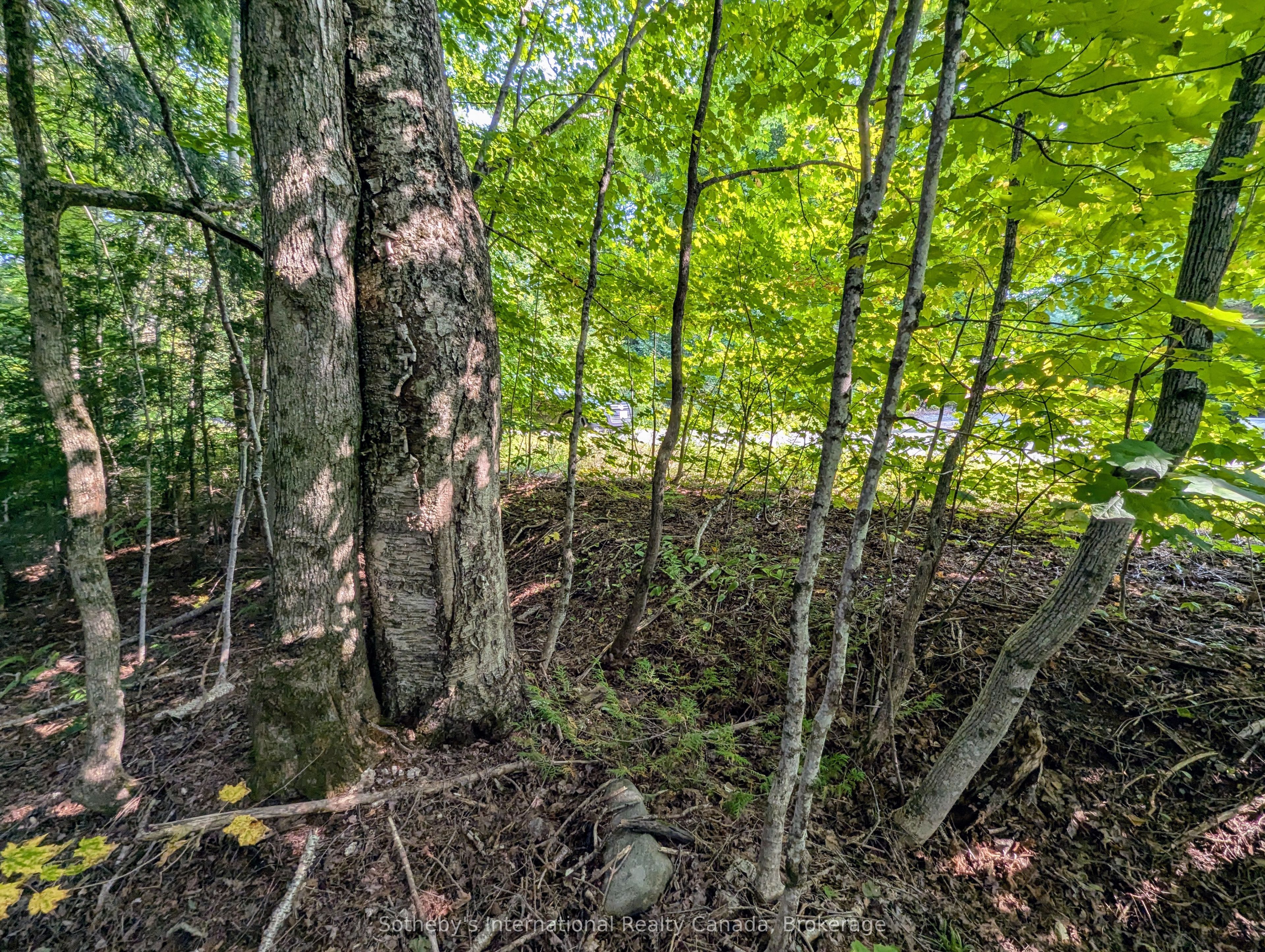 1031 Haven Road Property Photo 6