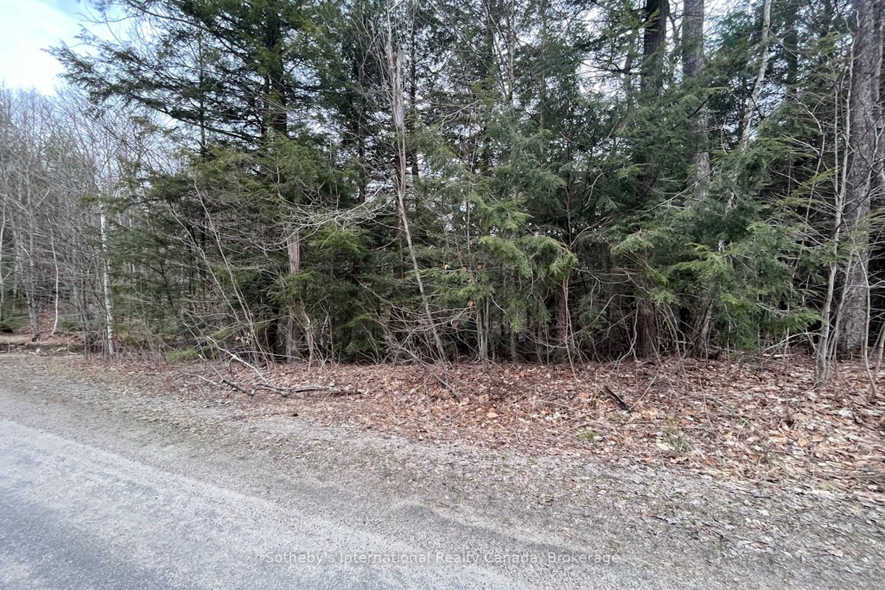 1031 Haven Road Property Photo 9