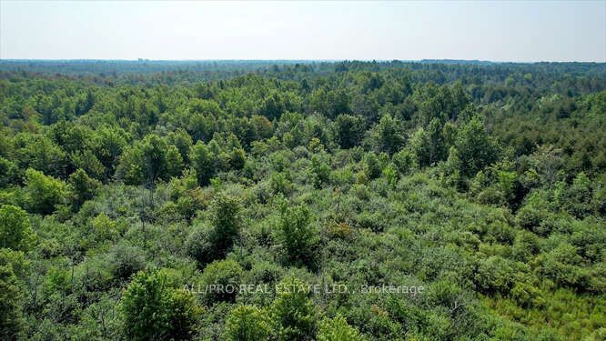340 Armstrong Rd Property Photo 7
