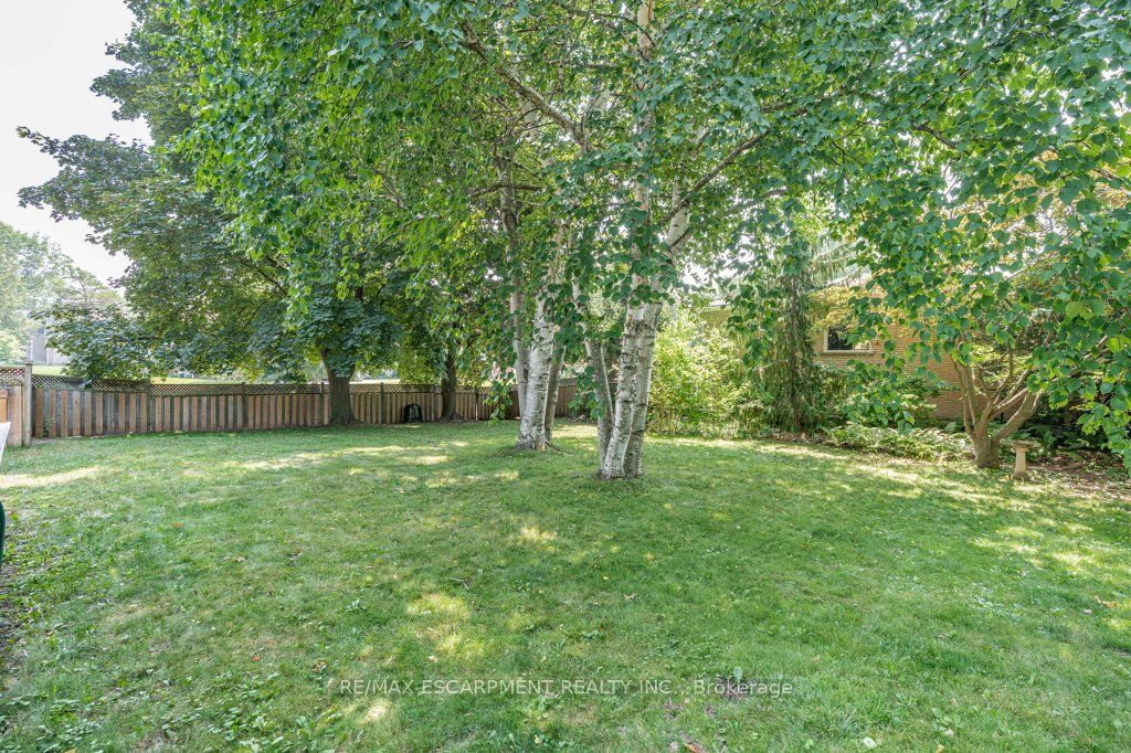 44 Cedarland Drive Property Photo 43