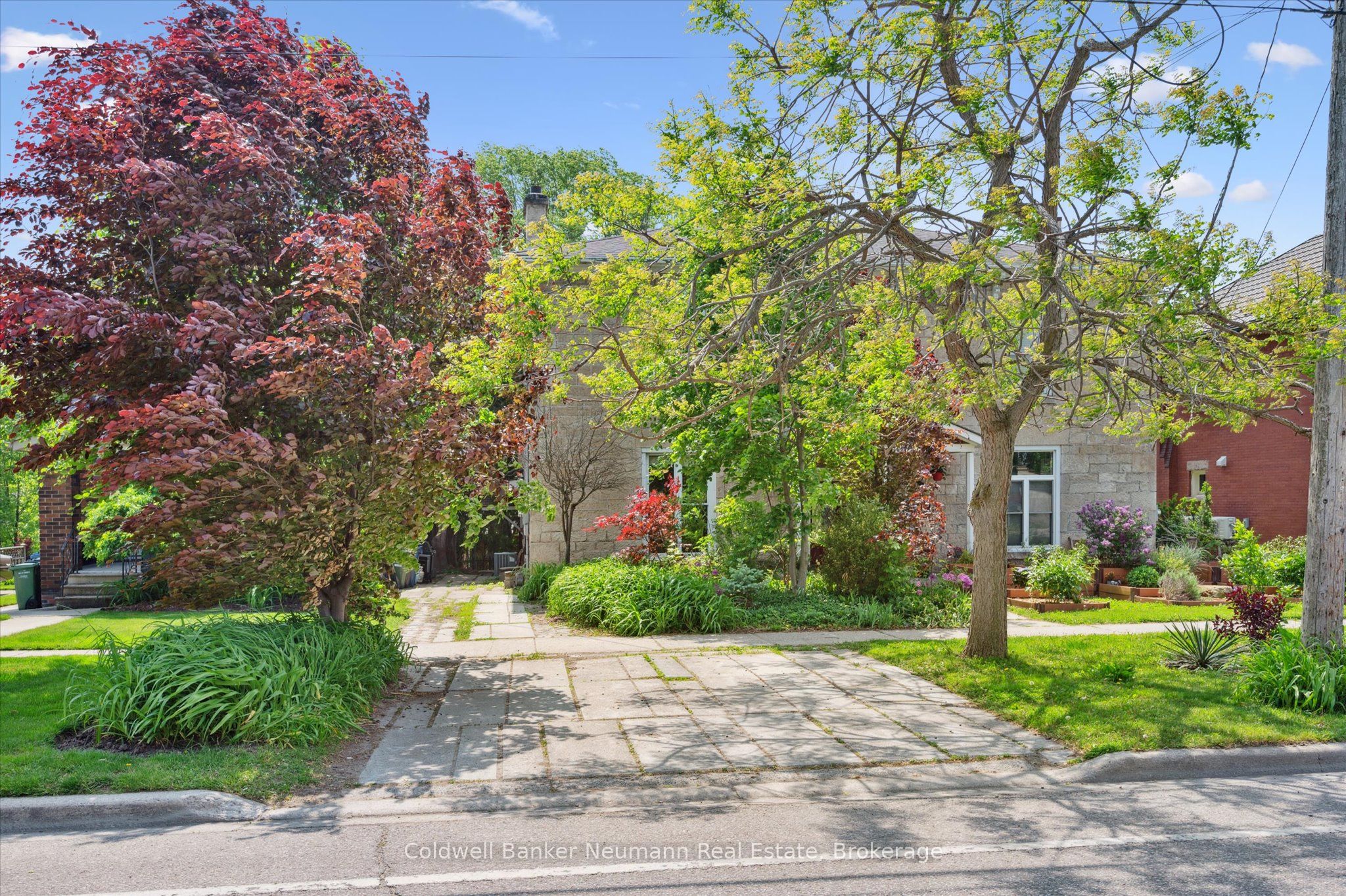 36 Waterloo Ave Property Photo 1