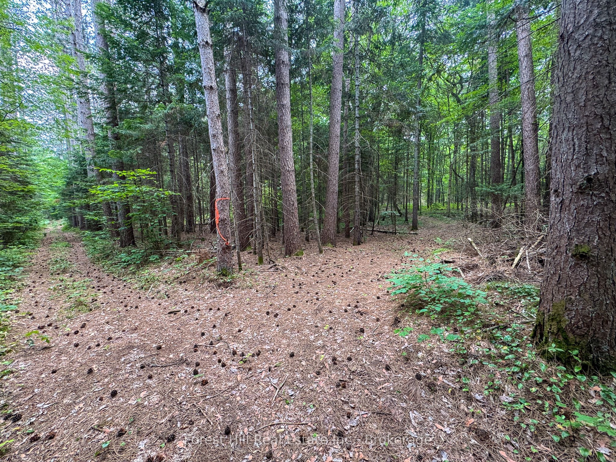 1130 Chetwynd Road Property Photo 21