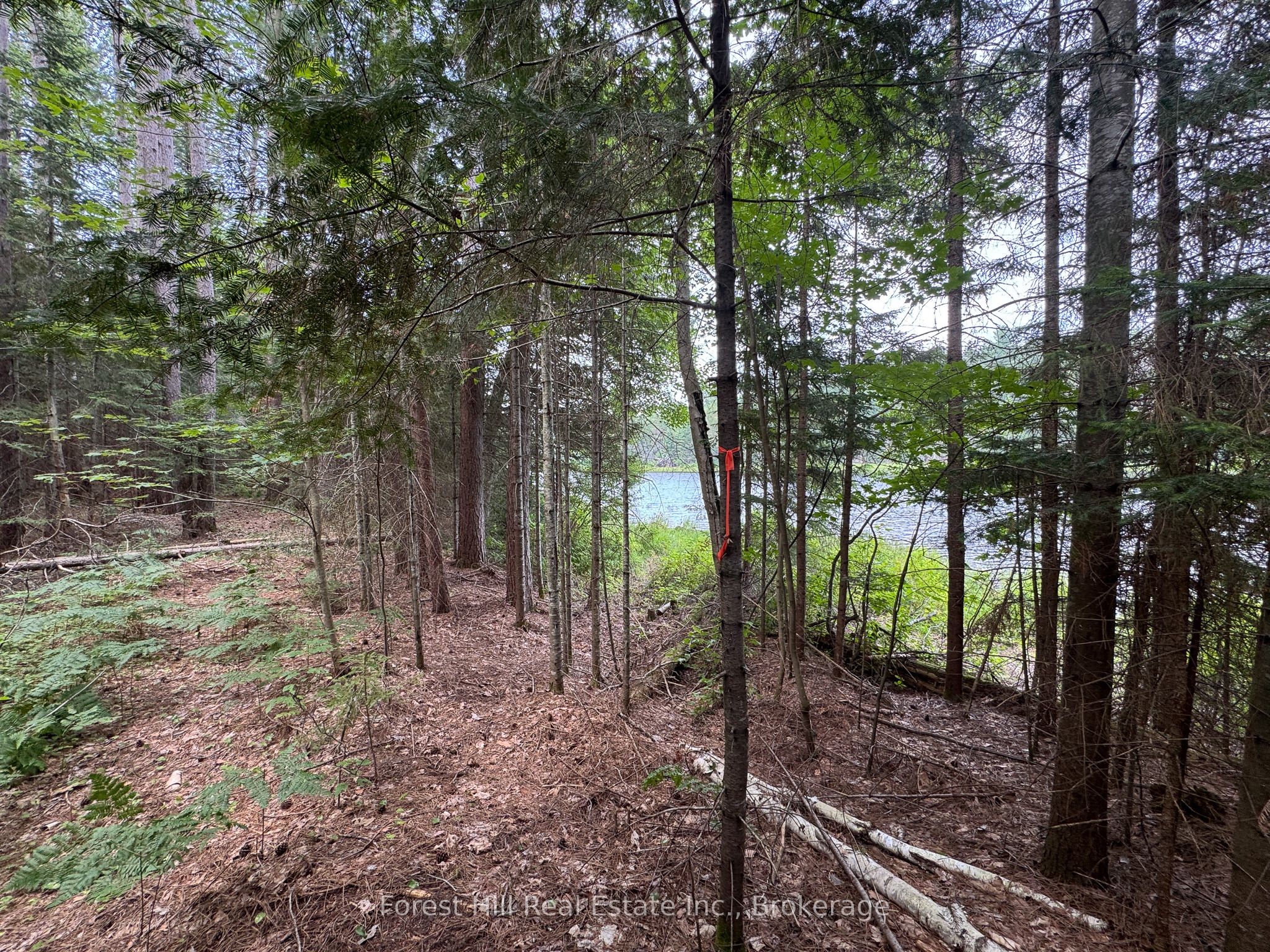 1130 Chetwynd Road Property Photo 22