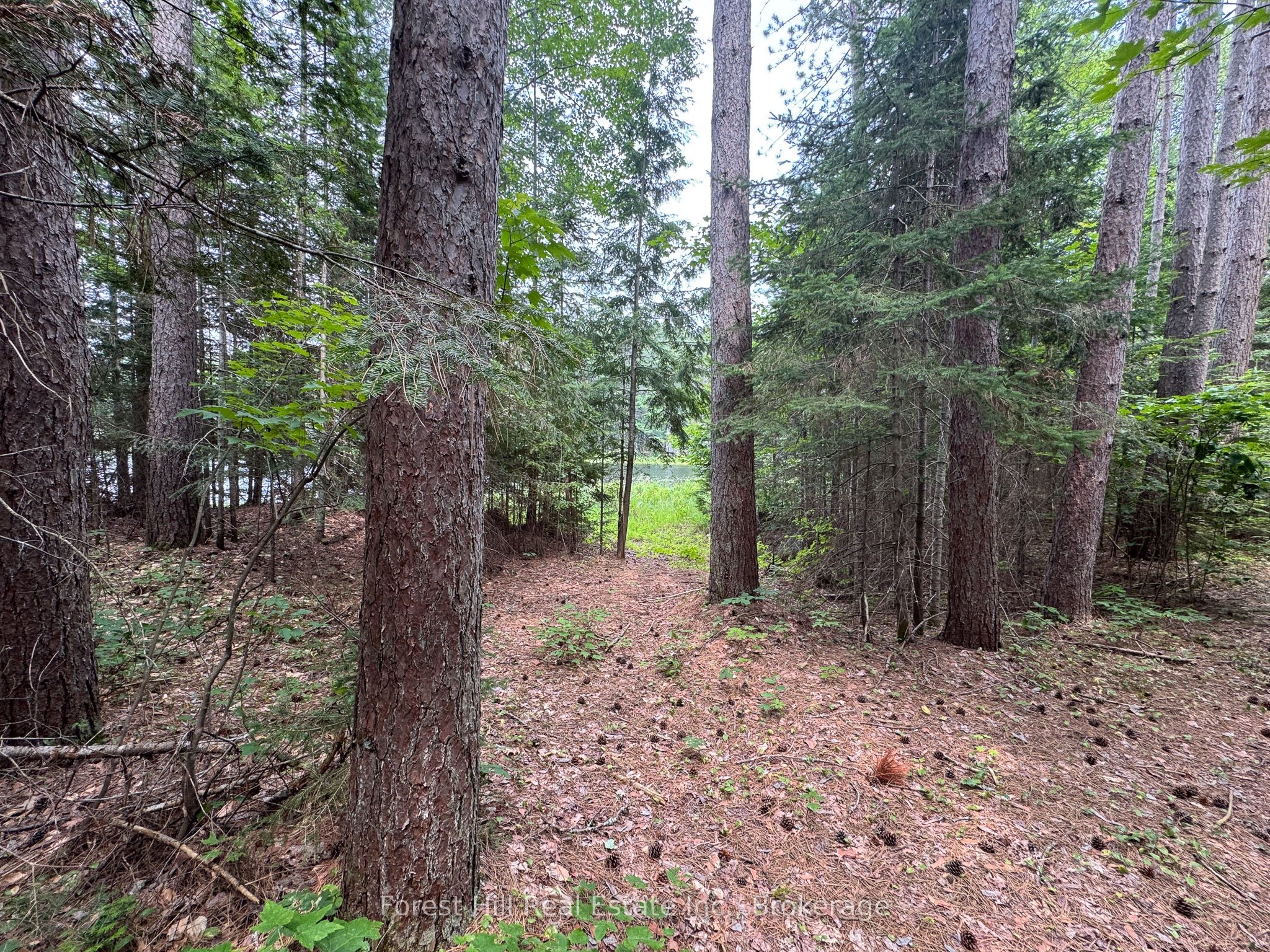 1130 Chetwynd Road Property Photo 26