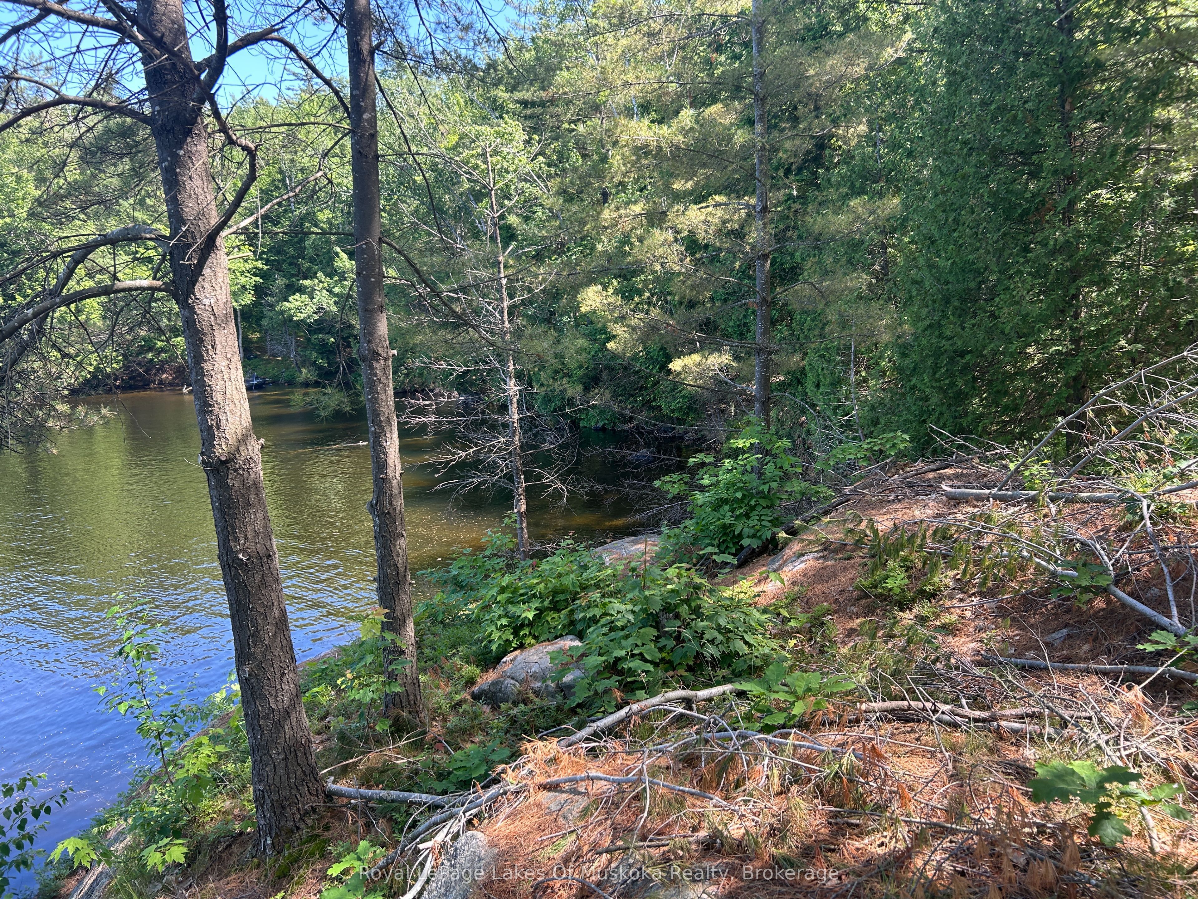 Lot 1 Bala Park Island N/a Property Photo 10