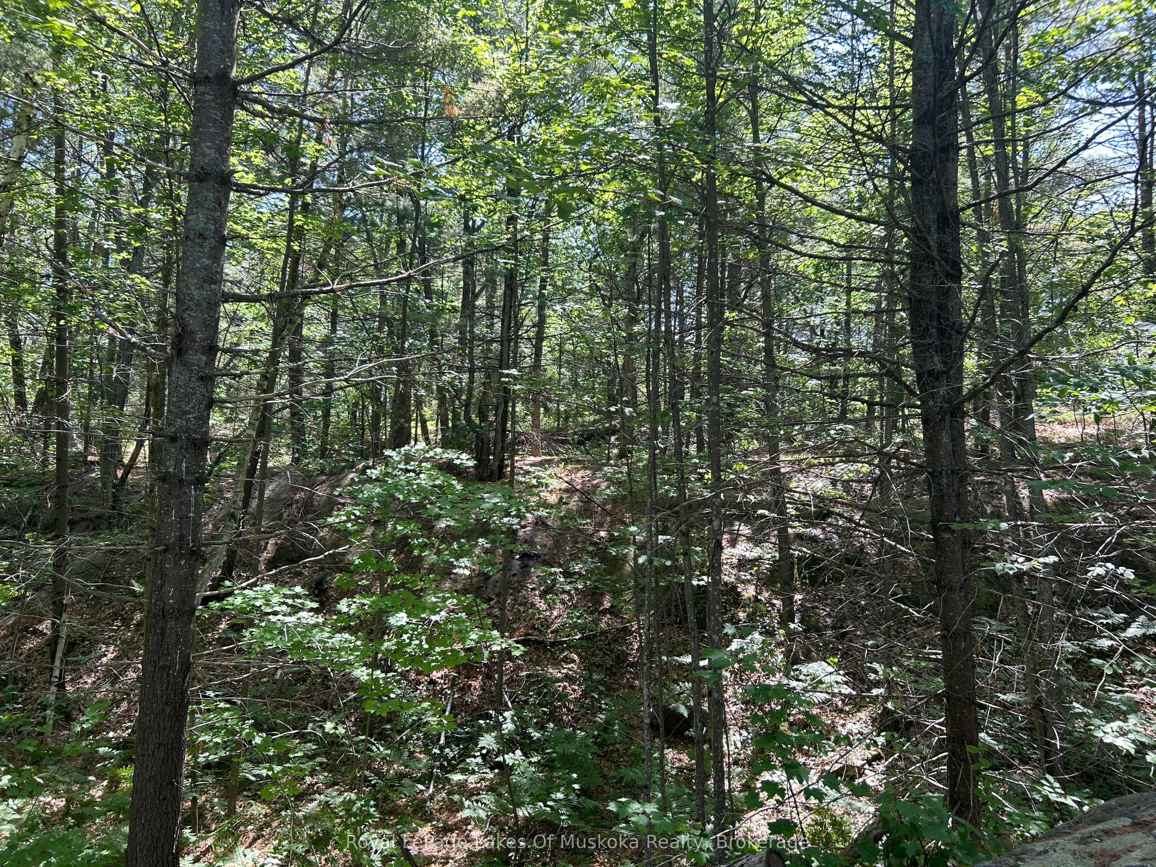 Lot 1 Bala Park Island N/a Property Photo 14