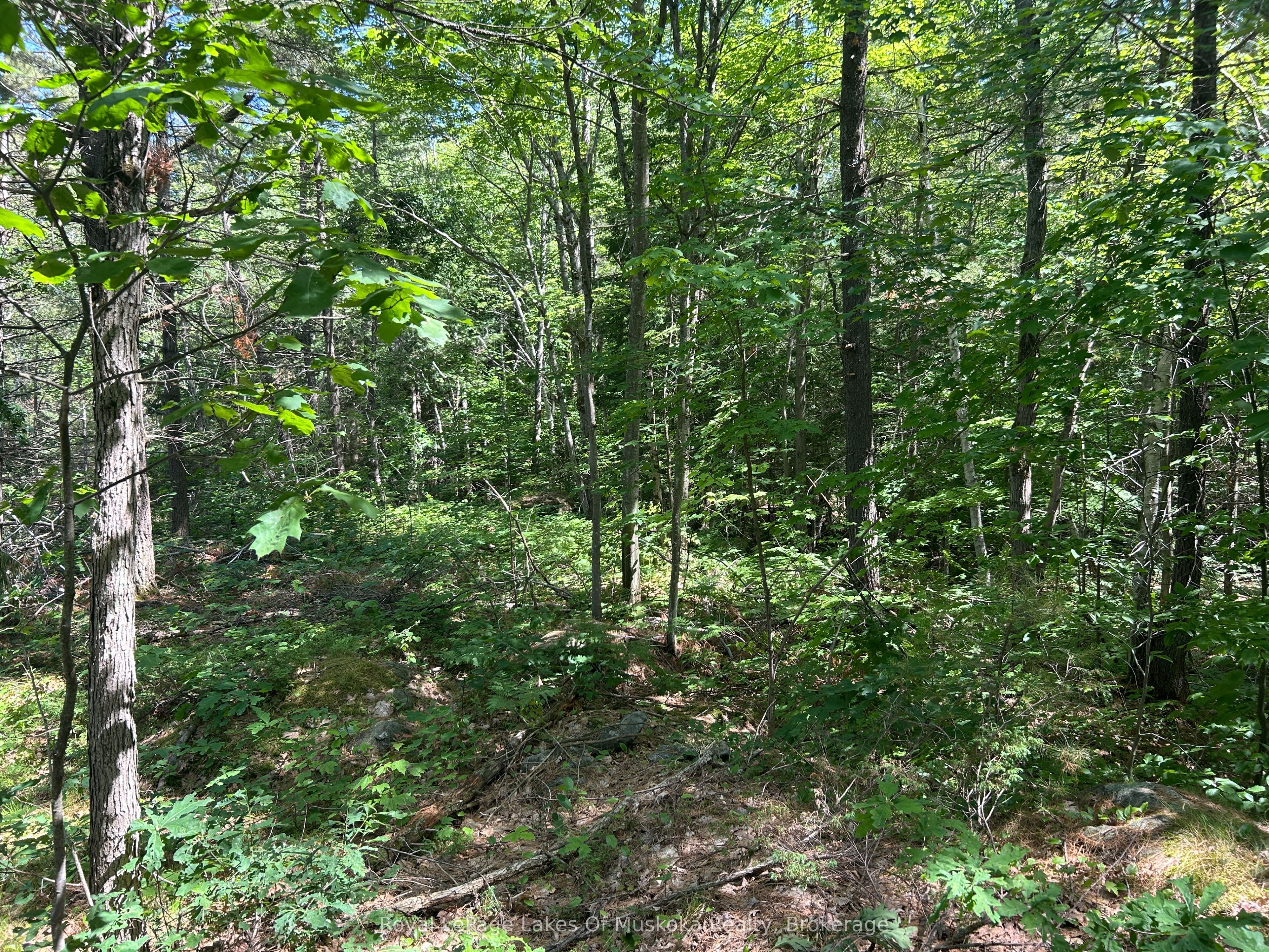 Lot 1 Bala Park Island N/a Property Photo 15