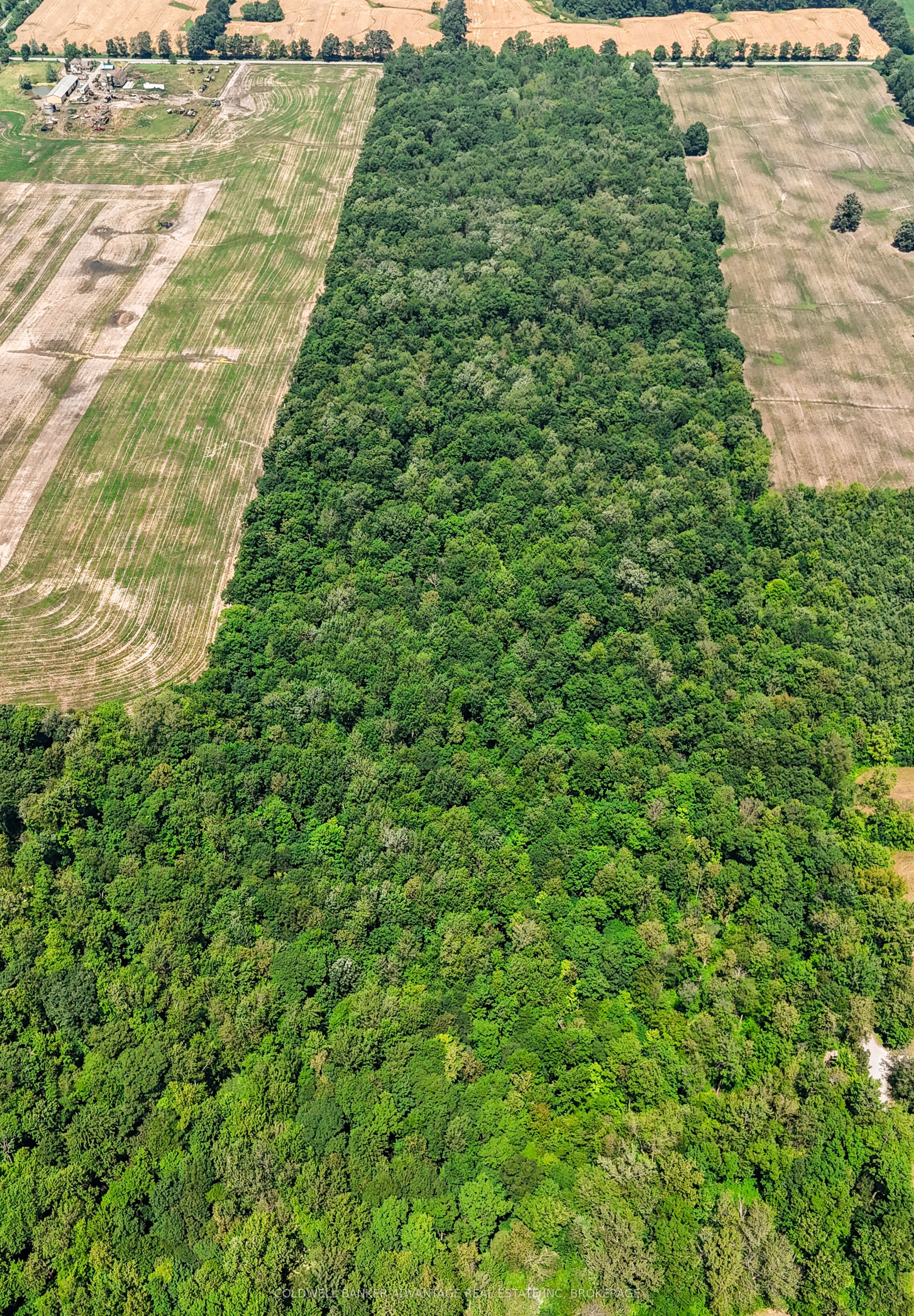 73325 Henderson Road Property Photo 1