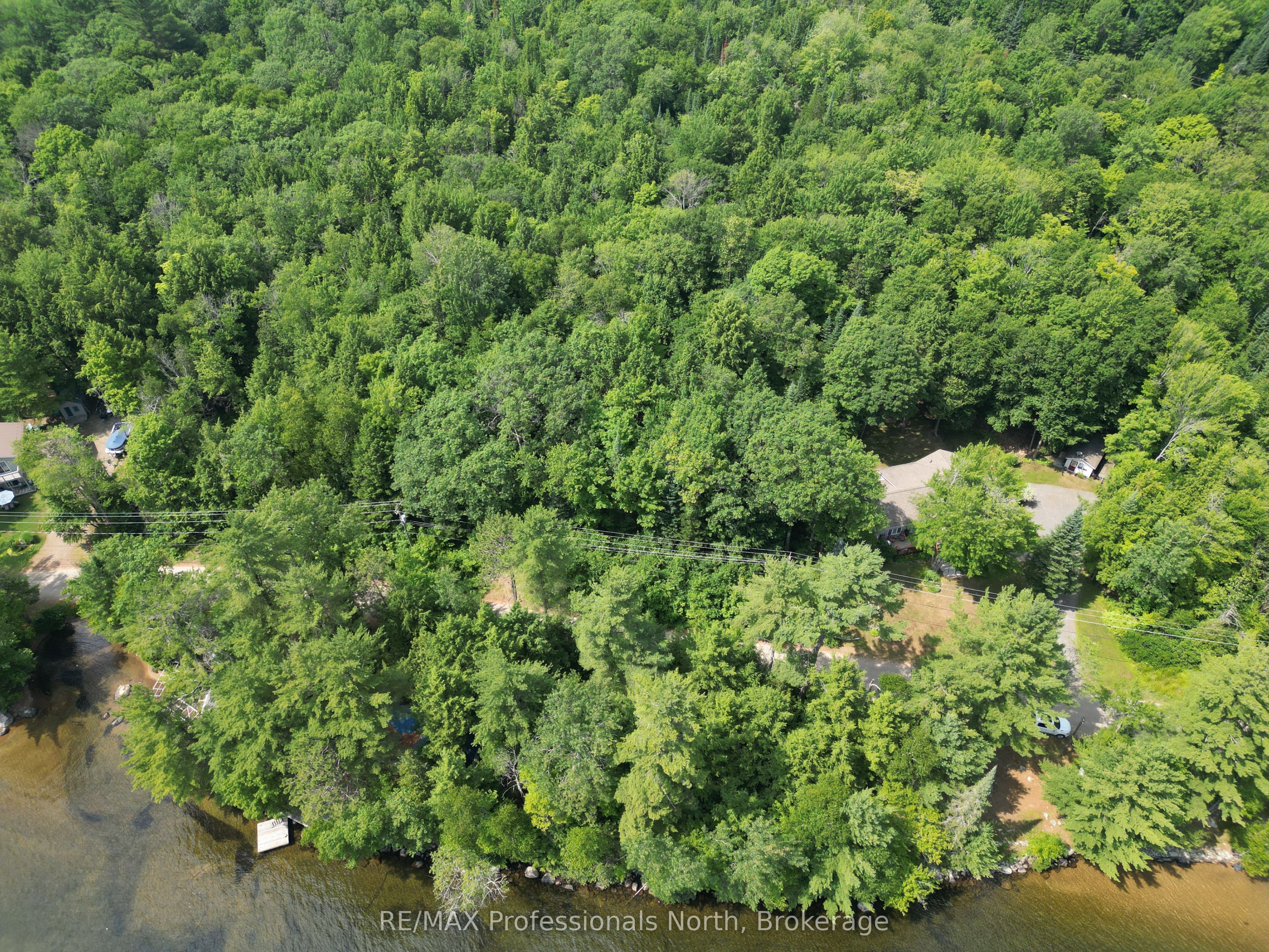 0 Halls Lake Road Property Photo 1